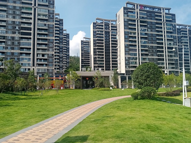 1_1696921723974487305.jpg e8ff5f6abef5cb122fc0ffa864ff70d_proc.jpg